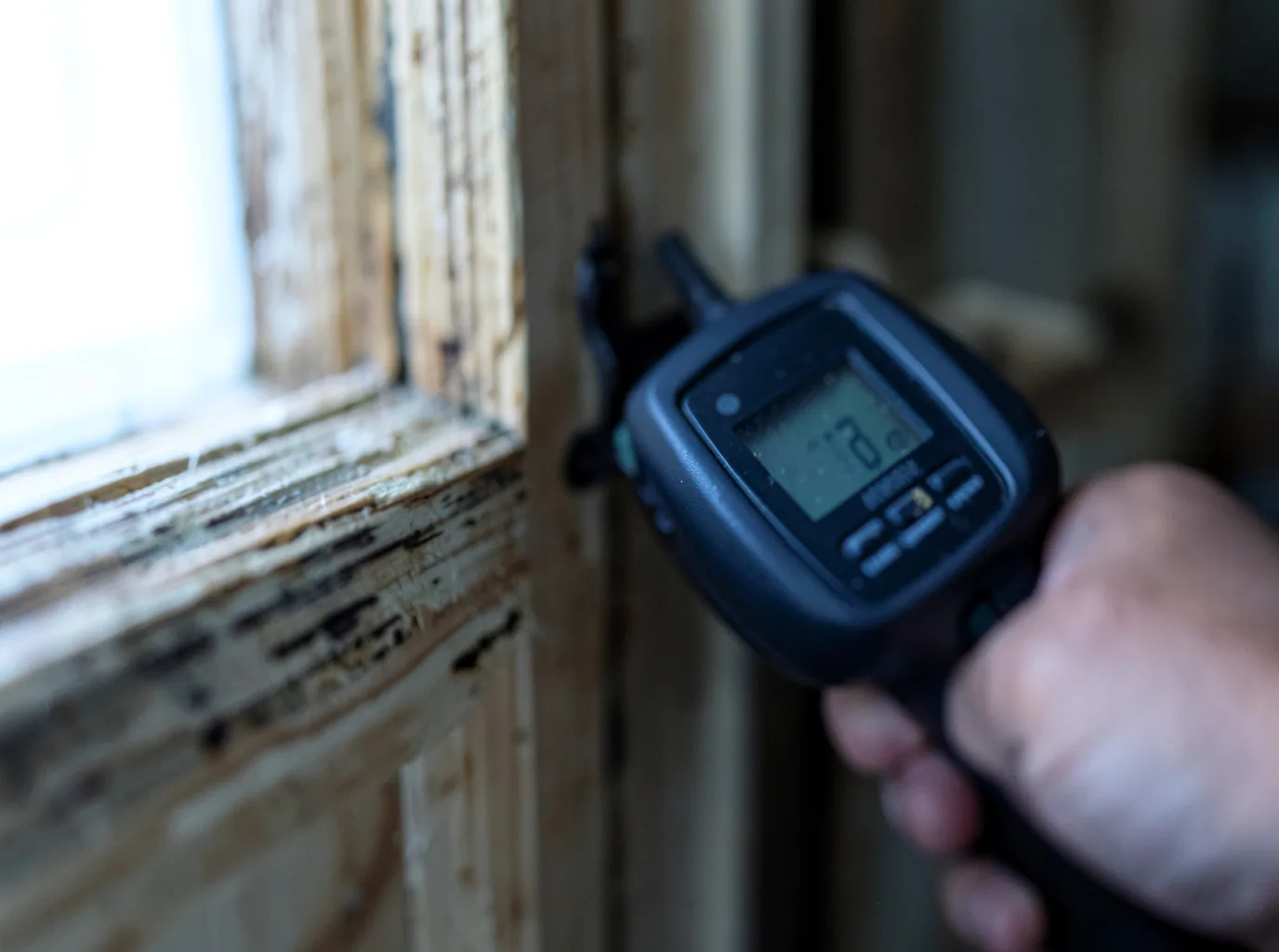 Moisture Inspection And Documentation in Allons, TN